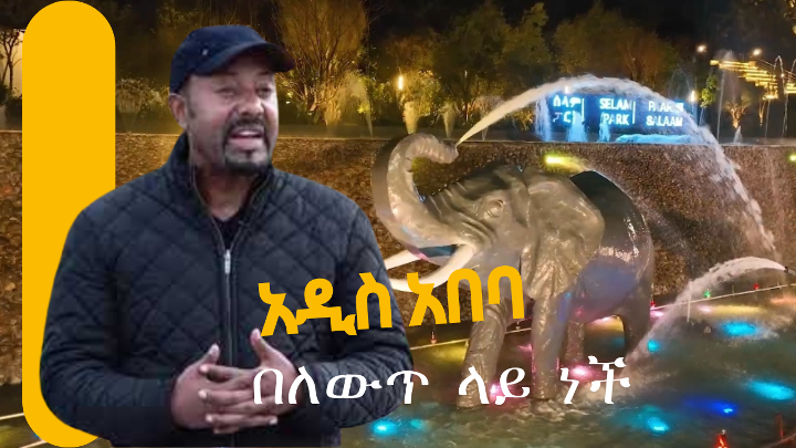 አዲስ አበባ በለውጥ ላይ ያለች ከተማ ናት
Addis Ababa - A city in transformation cover