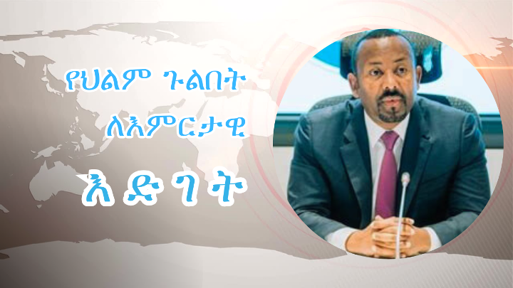ህልምና ትልም! cover