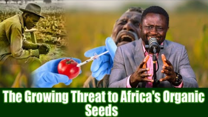 He who Controls The Seeds, Controls Food Supply cover