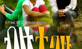 Bizu Tebazu (ብዙ ተባዙ) cover