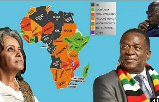 African must unit and creat industrial manufacturers to change Raw Materials to useable material's. cover