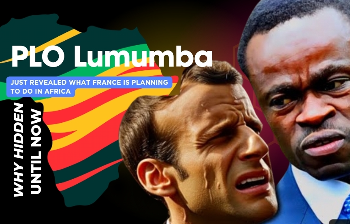 Professor PLO Lumumba Just Revealed France Mischievous idea in Africa cover