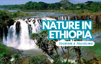 ለእናት አገር ጥሪ በአንድነት ተነስተን ከጎንዋ እንቁም። (Ethiopian Calling for Diaspora) cover