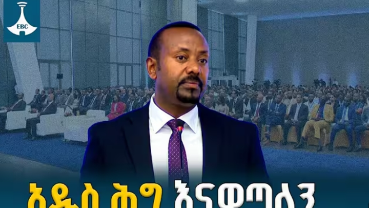 በኢትዮጲያ ውስጥ አዲስ የኢኮኖሚ ህግ እናወጣለን ብለዋል! ጠ/ቅ ዶክ አቢይ አሕመድ cover